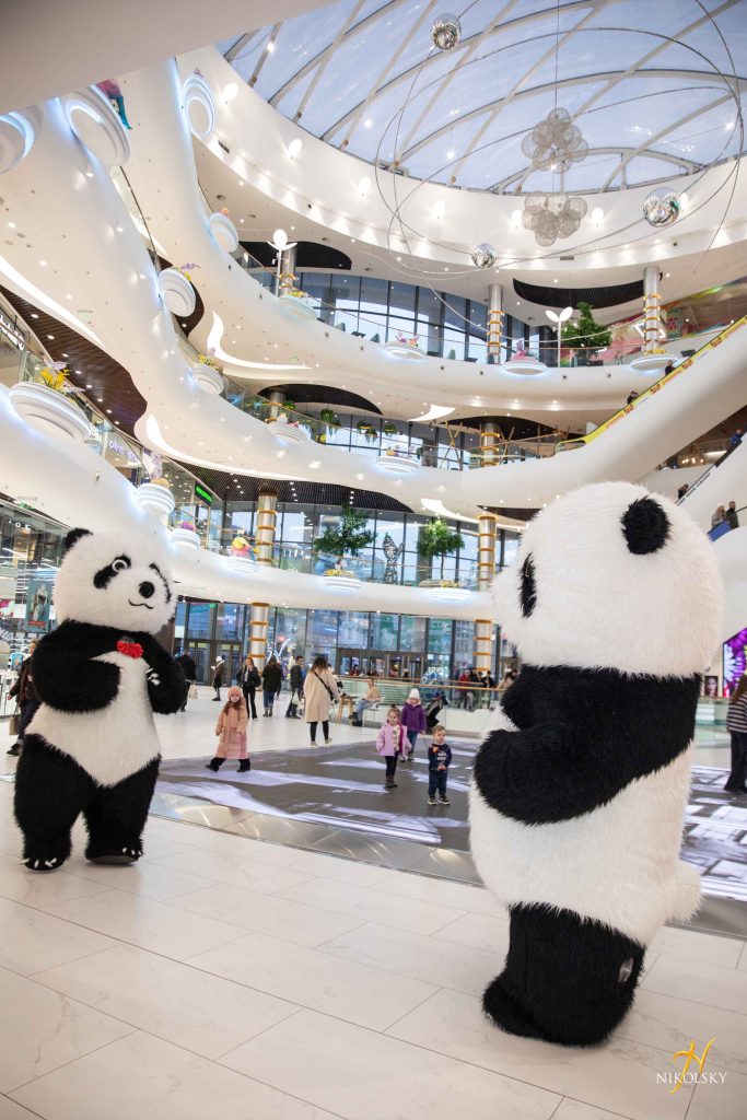 Nikolsky-Панда-Паті-(58)