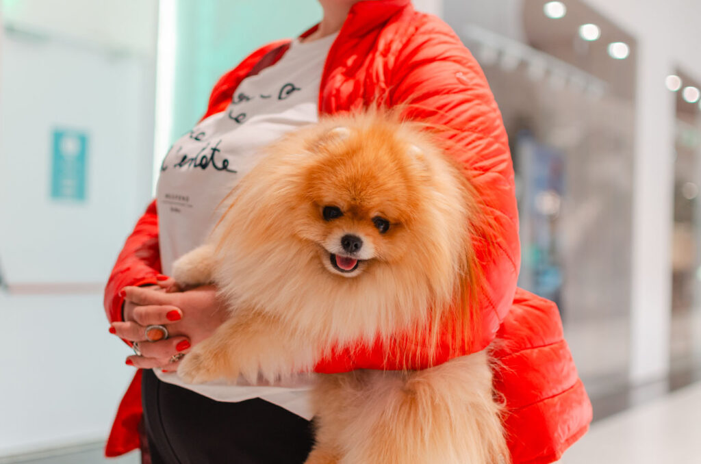 13-жовтня-Флористичний-майстер-клас-(фотозвіт)-(43)