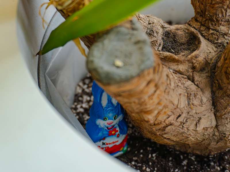 11-04-2026-Великодній-квест-+-МК-Nikolsky-(52)