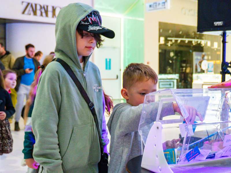 18-4-2026-Розіграш-Nikolsky-(303)